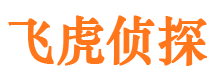 海晏婚外情调查取证